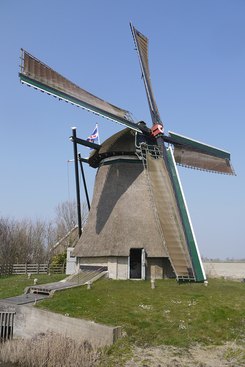 Foto van Skalsumer Mole / De Schalsumermolen, Schalsum, Matthieu Hoogduin (29-3-2014). | Database Nederlandse molens