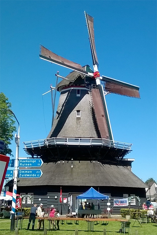 Foto van De Wieker Meule, De Wijk, Erwin de Jonge (19-7-2016) Het gevlucht weer de oude kleurstelling heeft van vroeger, de voorzoom wit en de borden groen. | Database Nederlandse molens