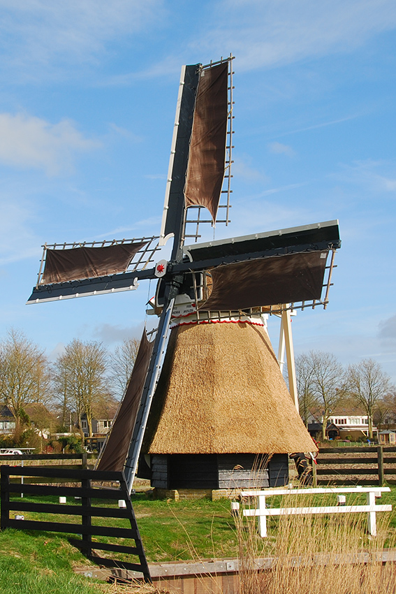 Foto van Binnema's Mûne / Binnema's Molen / De Kleine Molen, Stiens, Harmannus Noot (23-3-2019) | Database Nederlandse molens