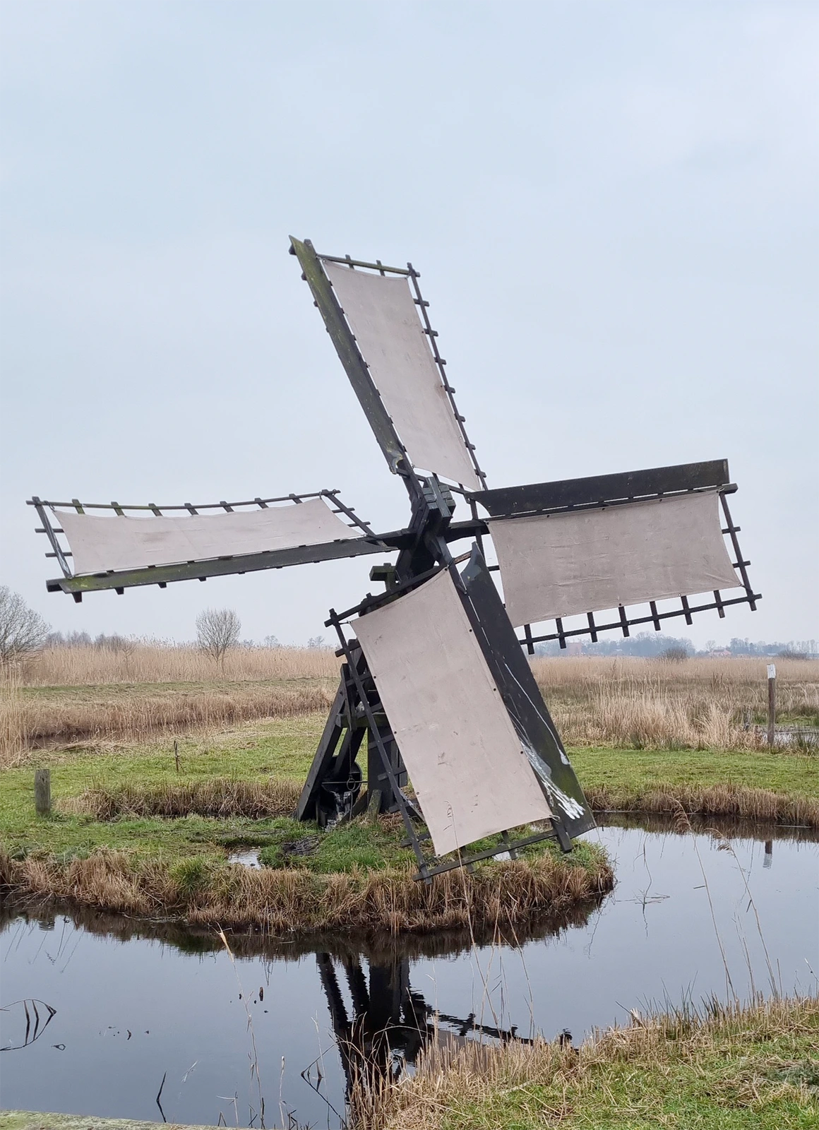 Foto van De Houtwiel, Feanwâlden (Veenwouden), Jan Pieter Visser (16-2-2023) | Database Nederlandse molens