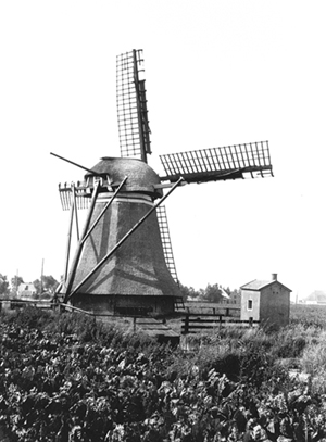 De Eendracht, , De Eendracht nog met oud-Hollands op beide roeden.  Foto: Anja Hoogduin (26-7-1980). | Database Nederlandse molens