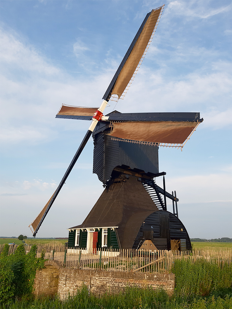 Foto van Voorste Molen / Hooglandse Molen, Hellouw, T. Dreessen (20-6-2021)De molen in zijn huidige (tevens authentieke) kleurstelling.  | Database Nederlandse molens