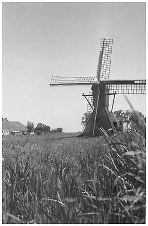 Follega Molen, , De molen op zijn oorspronkelijke plaats in Friesland.  Foto: ? (1940-1945; verzameling Ton Meesters). | Database Nederlandse molens