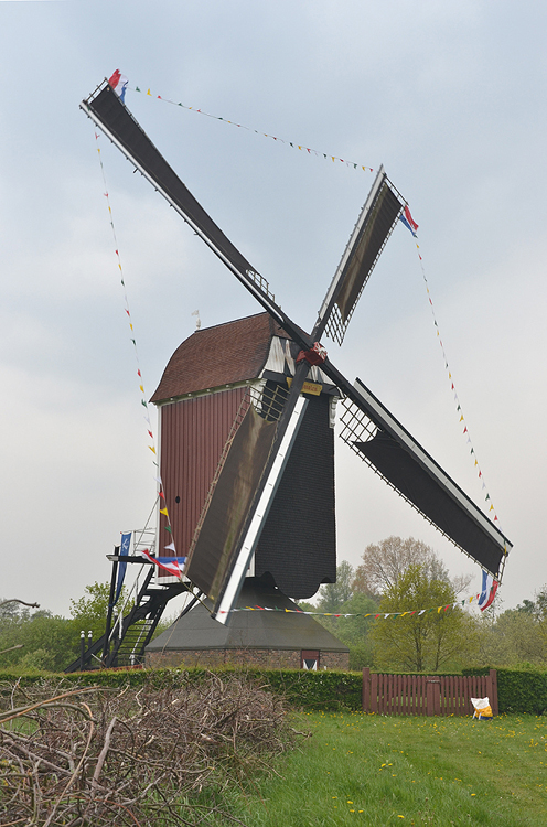 Foto van De Maasmolen, Nederasselt, Rob Pols (21-4-2014). | Database Nederlandse molens