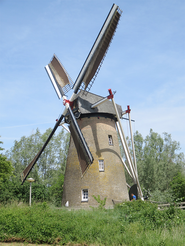 Foto van De Hoop, Rijswijk, William Bouter (1-6-2019) | Database Nederlandse molens