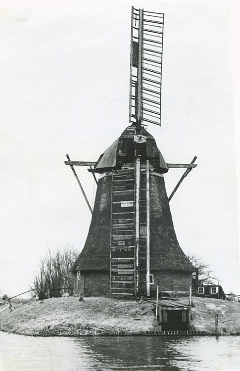 De Eolus, , De Eolus vóór 1963.  Foto: J.G. Jonker, Aduard (collectie A. Korpershoek). | Database Nederlandse molens