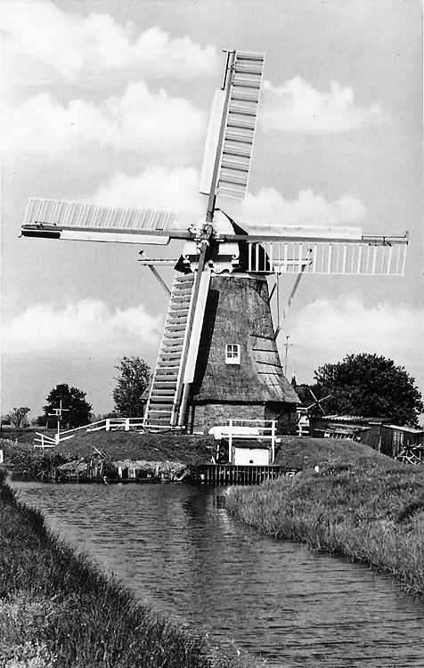 De Eolus, , De Eolus nog voor het rietdekken van 1978.  Foto n.n., ingezonden door Martin E. van Doornik. | Database Nederlandse molens