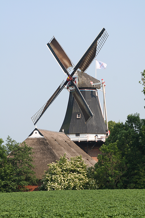 De Hoop, Garsthuizen, Harmannus Noot (10-6-2007) | Database Nederlandse molens