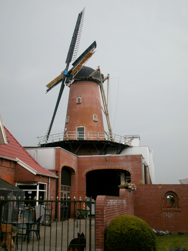 Foto van De Zwaluw, Nieuwe Pekela, Dennis van Dijk (5-7-2012) | Database Nederlandse molens