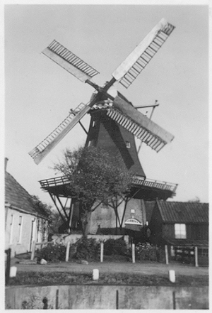 De Vier Winden, , Zo zag de molen er pakweg vijftig jaar geleden uit!  Foto: ? (verzameling Ton Meesters). | Database Nederlandse molens