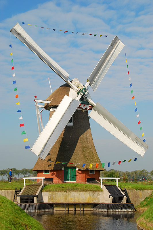 Foto van Krimstermolen / De Phoenix, Zuidwolde, Harmannus Noot (10-10-2015) | Database Nederlandse molens