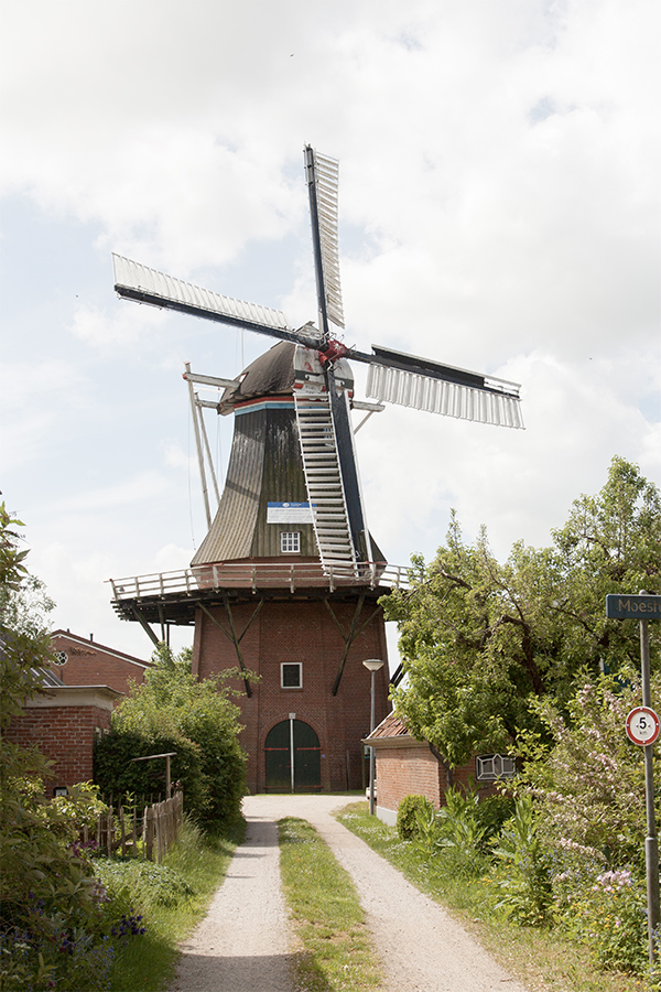Foto van De Zwaluw, Zuurdijk, Bram Westerink (23-5-2020) | Database Nederlandse molens