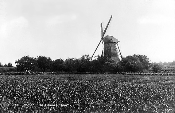 De Grauwe Beer, , De molen op zijn voor-vorige locatie omstreeks 1960. Foto: n.b. (verzameling Rob Pols). | Database Nederlandse molens