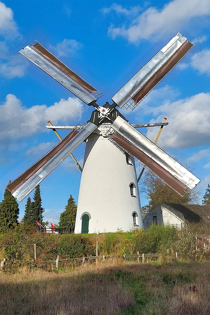 Foto van Sint Antonius Abt, Borkel, Gerard Sturkenboom (2-11-2022)De molen draait met de (smalle) zeilen (behorend bij de Dekkerwieken).  | Database Nederlandse molens