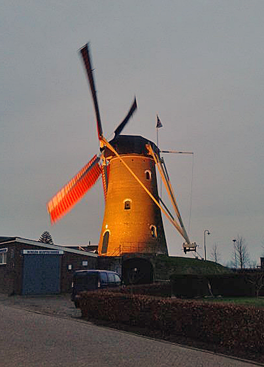 De Hoop, Den Hout, Tony Hop (31-1-2014)De Hoop draaiende op het zuidoosten. | Database Nederlandse molens