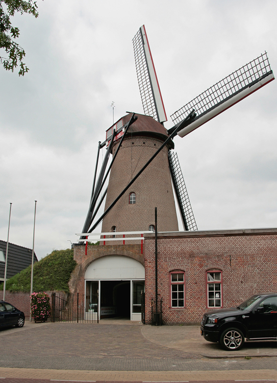 rasen dngen unkraut RasenDnger Moos- & UnkrautStopp flssig  Neudorff Shop