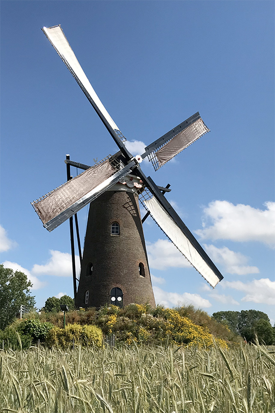 Foto van De Roosdonck, Nuenen, Mario Collombon (13-6-2020) | Database Nederlandse molens