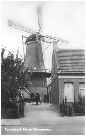 De Twee Gebroeders, , Opname uit 1945. Foto: verzameling Ton Meesters. | Database Nederlandse molens