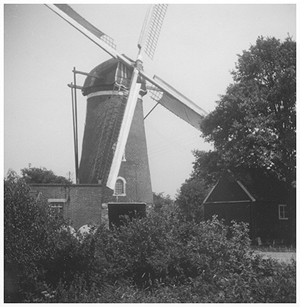 De Heimolen, , Foto: ± 1965 (verzameling Ton Meesters). | Database Nederlandse molens