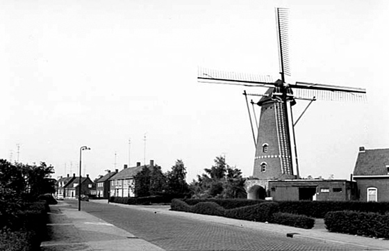 Zilster Molen, , Foto: n.b. (verzameling Pieter Kerkhofs). | Database Nederlandse molens