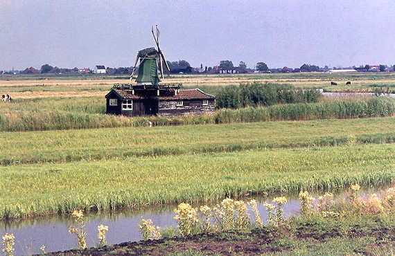 De Windjager, Oostzaan, Het molentje in 1969.  Jan Westerlaken. | Database Nederlandse molens