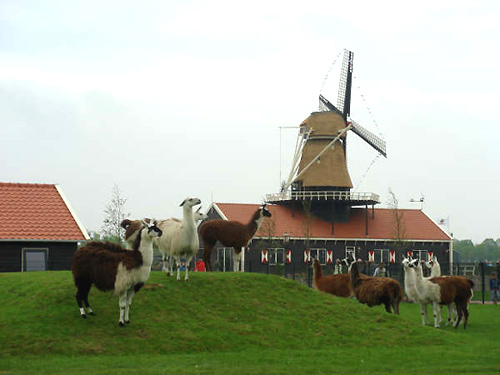 Molen van Piet, Tuitjenhorn, Eric Zwijnenberg (2007). | Database Nederlandse molens