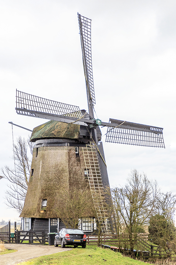 Foto van De Havik, Grootschermer, Frank Hendriks (9-3-2021) | Database Nederlandse molens