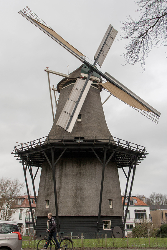 Foto van De Zandhaas, Santpoort, Bram Westerink (15-2-2020) | Database Nederlandse molens