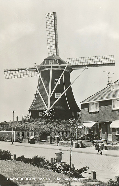 De Korenbloem, , De molen hier nog als beltmolen, ongeveer in de jaren vijftig van de vorige eeuw.  Foto: n.n. (verzameling Jelle van Daalen). | Database Nederlandse molens