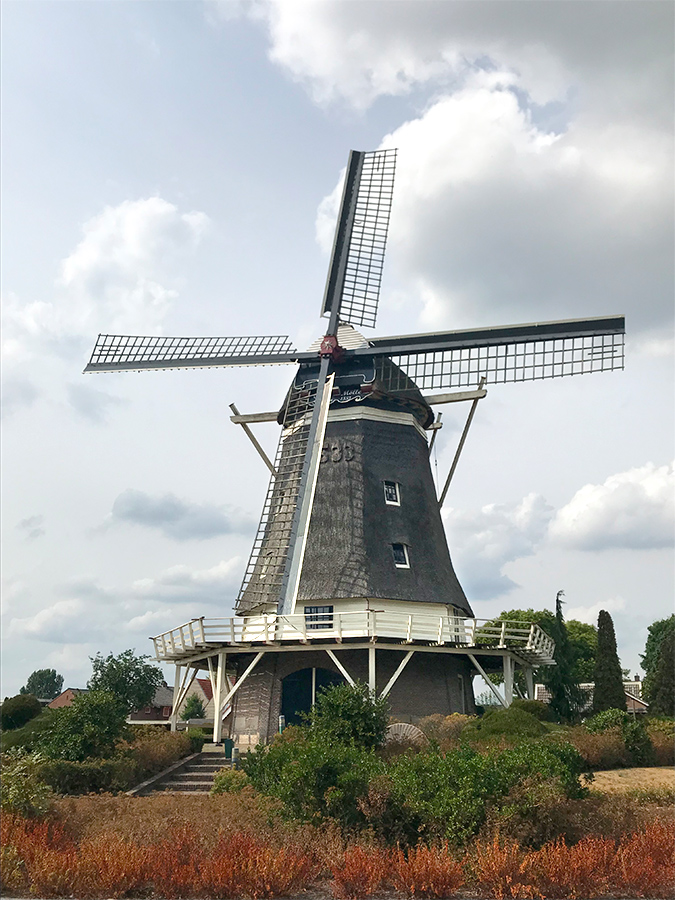 Foto van De Oelemolle, Hardenberg, Toby de Kok (4-8-2018) | Database Nederlandse molens