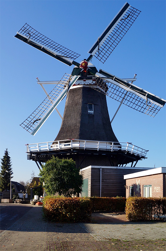 Foto van De Lelie, Ommen, Boukje van Leijen (17-11-2018)De molen na de recente schilderbeurt. | Database Nederlandse molens