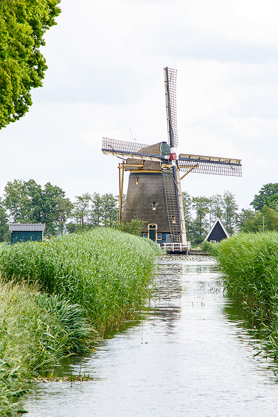 Foto van Loenderveense Molen, Loenen aan de Vecht, Frank Hendriks (6-6-2019) | Database Nederlandse molens