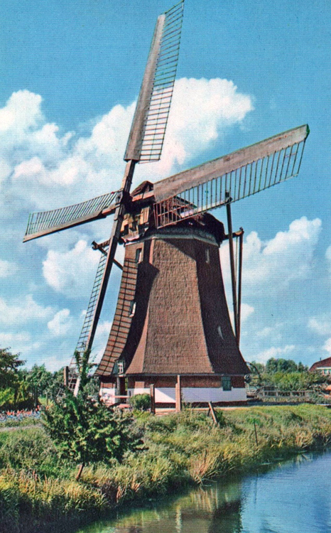 Westbroekse Molen, , De molen nog met het Dekkersysteem. Foto: n.n. (datum onbekend), coll. Arie Hoek. | Database Nederlandse molens