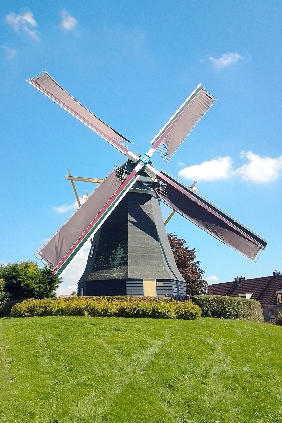 Foto van Nooit Gedacht, Arnemuiden, Jeroen van Dijke (7-2-2022)De molen na de laatste schilderbeurt met de kleurstelling gelijkend op die van zijn verbrande voorganger. | Database Nederlandse molens