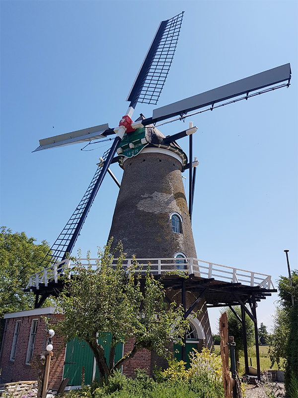 Foto van Nooit Gedacht, Eindewege ('s Heer Arendskerke), Pieter Zuijkerbuijk (5-7-2019) | Database Nederlandse molens
