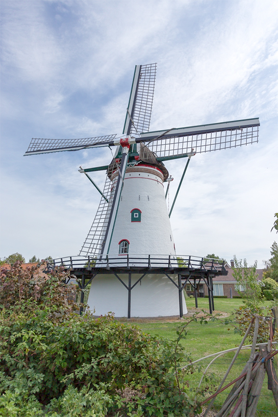 Foto van De Korenbloem, Scherpenisse, Theo van Hest (6-8-2019) | Database Nederlandse molens