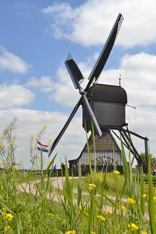 Foto van De Blokker / Blokweerse wip, Alblasserdam (Kinderdijk), Rob Pols (15-5-2015). | Database Nederlandse molens