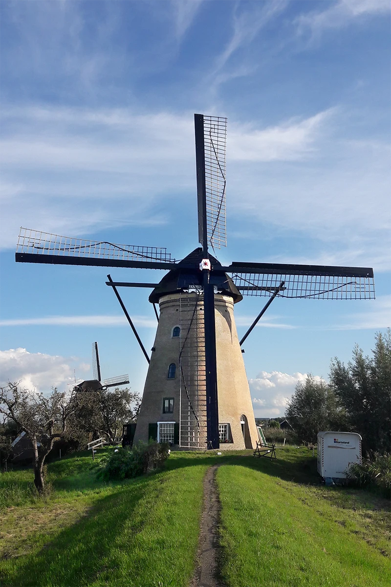 Foto van Nederwaard Molen No.4, Kinderdijk, J. Hoek (29-9-2022)De 4e is de eerste molen van de Nederwaard , die weer in de oorspronkelijke kleurstelling teruggebracht is, zoals die was voor 1955. | Database Nederlandse molens