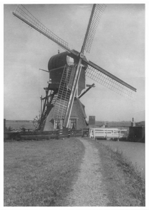 Achthovense Molen, , Foto: ? (verzameling Ton Meesters). | Database Nederlandse molens