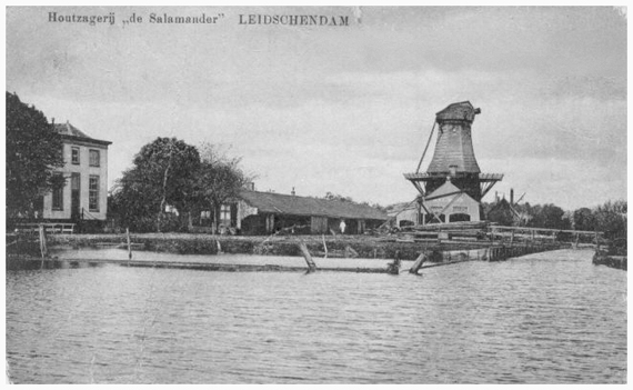 De Salamander, , De onttakelde Salamander in 1915.  Foto: n.b. (verzameling Rob Pols). | Database Nederlandse molens