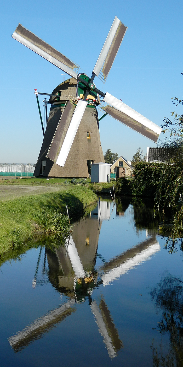 Foto van Hogeveensemolen, Noordwijkerhout, Vincent Mepschen (24-10-2021) | Database Nederlandse molens