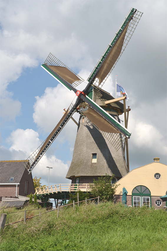 Foto van Windlust, Nootdorp, Rob Pols (5-8-2011) | Database Nederlandse molens