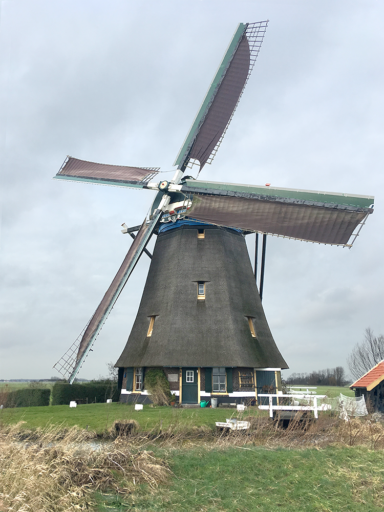 Foto van Blauwe Molen, Rijpwetering, Bjorn jannink (25-1-2018) | Database Nederlandse molens