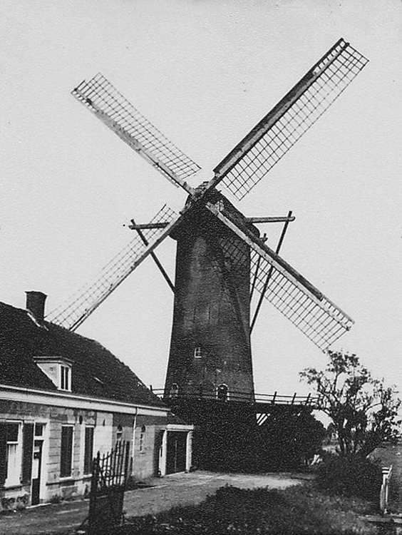 De Speelman, , De molen - toen nog De Hoop geheten - op de oude plaats.  Foto: n.n., ca. 1930 (coll. Rob Pols).  | Database Nederlandse molens