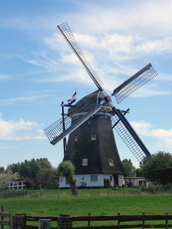 Foto van De Valk, Berkel en Rodenrijs, Jan Puts (13-6-2014) | Database Nederlandse molens