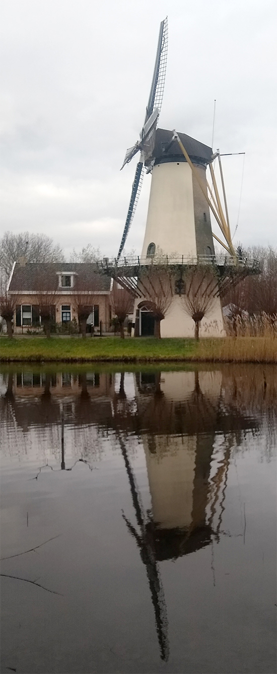 Foto van De Zandweg, Rotterdam-Charlois, Monique Doolaar (5-1-2020) | Database Nederlandse molens
