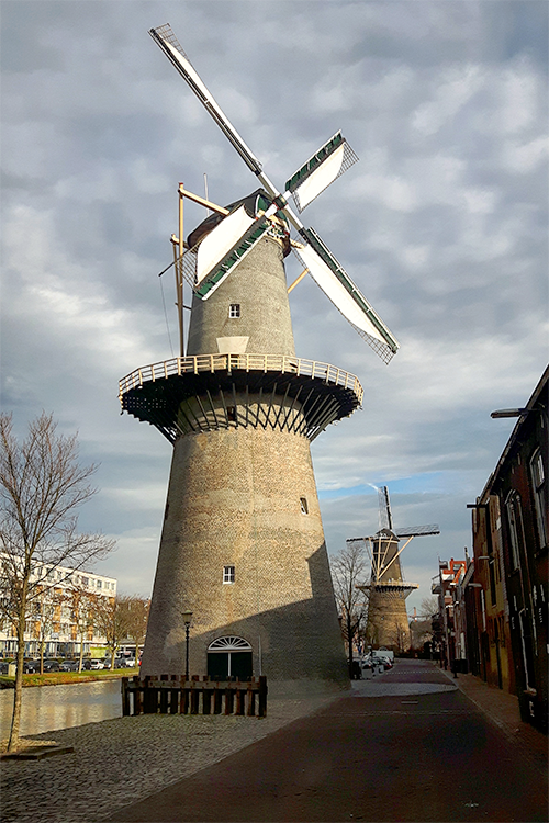 Foto van De Vrijheid, Schiedam, Theo de Rooij (8-12-2016)De molen ziet er na de laatste metselwerkrestauratie weer netjes uit. | Database Nederlandse molens