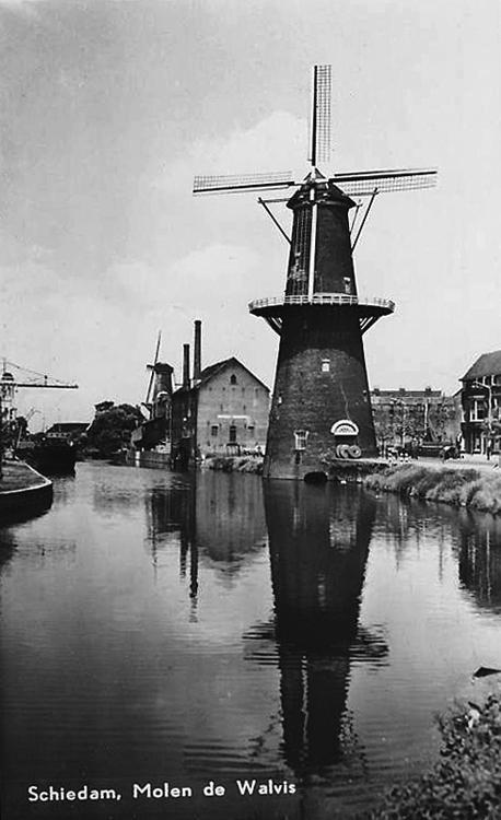 De Walvisch, , Foto uit de tijd dat het wiekenkruis was verbusseld.  Foto n.n., collectie Rob Pols. | Database Nederlandse molens