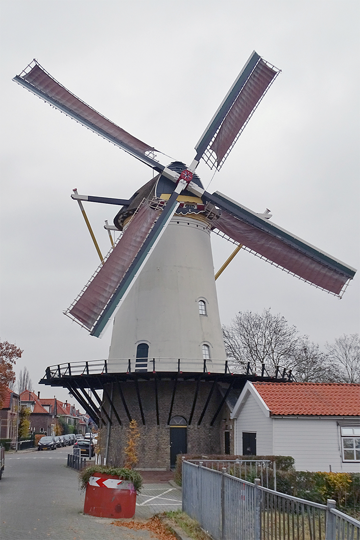 Foto van De Vier Winden, Rotterdam-Terbregge, Martin E. van Doornik (20-11-2021) | Database Nederlandse molens