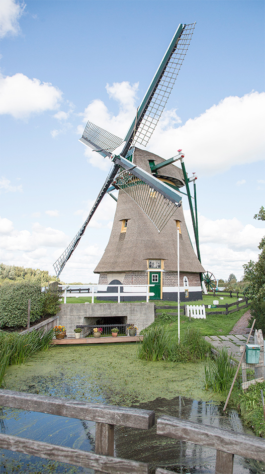 Foto van Broekdijkmolen, Warmond, Frank Hendriks (7-9-2018) | Database Nederlandse molens